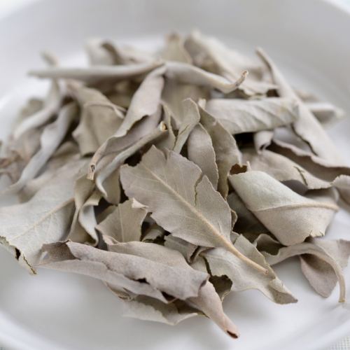 【滌塵】加州白鼠尾草葉 50g
